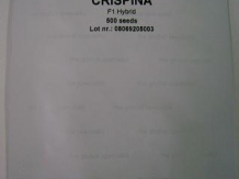 Castraveti Crispina F1