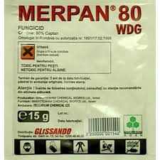 MERPAN 80 WDG