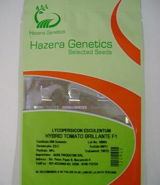 Tomate Brillante F1