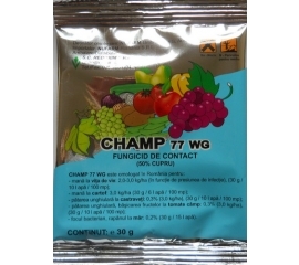 CHAMP 77WG