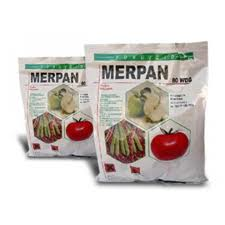 MERPAN 80 WDG