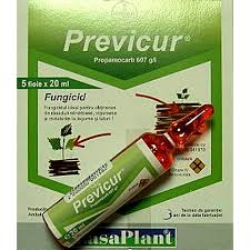 PREVICUR ENERGY